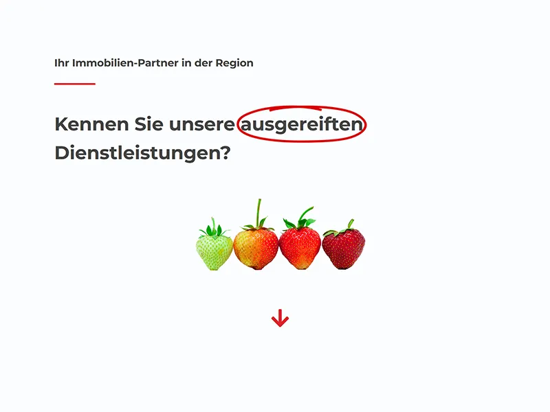 Immobaur GmbH